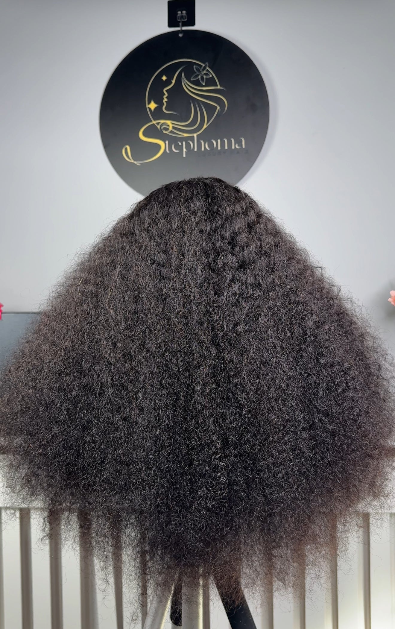 22” SDD Iris Curls with 5by5 Closure